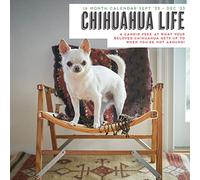 Magnet & Steel Calendrier de vie 2023 Chihuahua, Multicolore