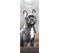 Magnet & Steel Calendrier fin 2023 Bulldog, multicolore