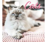 Magnet & Steel Calendrier traditionnel 2023 en forme de chat