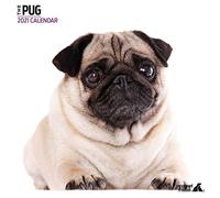 Magnet & Steel Carlin 2021 Calendrier moderne