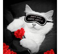 Magnet & Steel Carte Postale B/n Gato Dont Even Think…