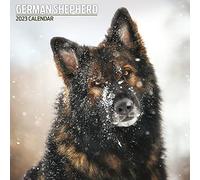 Magnet & Steel Shepherd Calendrier traditionnel 2023 Multicolore