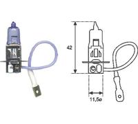 MAGNETI MARELLI 002553100000 Ampoule, projecteur antibrouillard