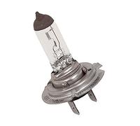 Magneti Marelli 002557700000 Ampoule Hy21 W, 12 V