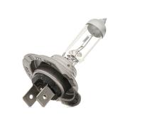 MAGNETI MARELLI 002586100000 Ampoule, projecteur longue portée
