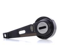 MAGNETI MARELLI 331316170404 Poulie, tendeur de courroie d'accessoire