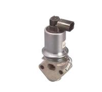Magneti Marelli Vanne EGR 571822112013 Compatible avec VW Golf IV/V, Polo IV, Caddy III, Golf Plus
