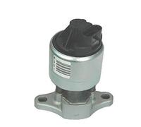MAGNETI MARELLI 571822112026 Vanne EGR pour CHEVROLET,DAEWOO,OPEL