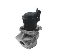 Magneti Marelli Vanne EGR 571822112029