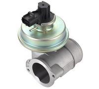 MAGNETI MARELLI 571822112112 Vanne EGR pour FORD