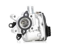 Magneti Marelli Vanne EGR 571822112123 - Compatible avec NISSAN Pathfinder III R51, NP300, Navara