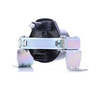 Magneti Marelli Bobine d'allumage 060717020012 pour Renault