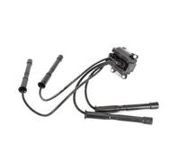 Magneti Marelli Bobine d'allumage 060717055012 pour Renault Clio II, Kangoo et Proton