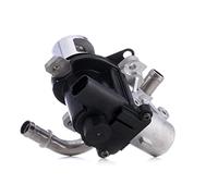 MAGNETI MARELLI Vanne EGR