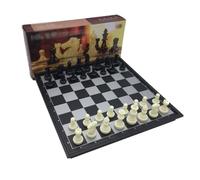 Magnetic Folding Chess Set with Classic Design, Enlightenment Game for Kids Beginners & Adults(Black+White,25cm)