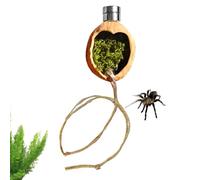 Magnetic Jumping Spider Walnut Shelter - Optimal Habitat Space, Naturalistic Terrarium With Climbing Rope - Magnetic Enclosure Decor For Breeding Spiders, Geckos & Tree Frogs