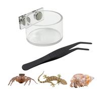 Magnetic Reptile Bowl - Jumping Spider Feeding Dish Habitat Cup, Small Cage Water Holder Tray, Tarantula Mantis Feeder Container | Enclosure Accessories Spider Reptile Feeding Station Care