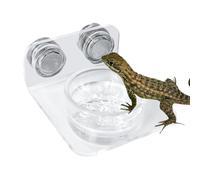Magnetic Reptile Feeding Ledge - Aimant acrylique 8,6 x 6,6 x 3 cm 8,6 x 6,6 x 4 cm | Suction Cup Gecko Food Tray, Easy Installation Reptile Feeding Station For Lizards Chameleons Tree Frogs Indoor