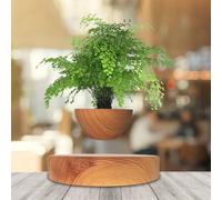 MagneticLand Mini-Jardin en lévitation Finition Noyer BABYLONIA