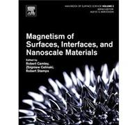 Magnetism of Surfaces Interfaces and Nanoscale Materials Magnetism of Surfaces Interfaces and Nanoscale Materials (Auteur)
