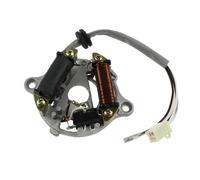 Magnéto Stator Accessoires D'allumage De Moto Plaque Stator Magnéto pour Pw50 pour PW 50 pour QT50 pour Peewee Pit Kid Bike ATV