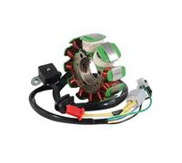 Magneto Stator Bobine D'allumage Stator Moteur Magnétique Pièces Moto Pour SYM Pour JOYRIDE Pour EU2 125 E2 EVO L6 Pour EU2 200 OEM:31120-H9A-000 31120-H9A-001
