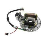 Magnéto Stator Bobine De Plaque Magnétique Stator D'allumage pour Moto 50cc 70cc 90cc 110cc 125cc ATV, Go Kart pour XR50 SDG SSR 107 110 125 CC