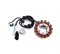 Magnéto Stator Bobine De Stator De Générateur De Moto pour KVF750 pour KRT750 pour KRF800 pour KRT800 pour Teryx4 21003-0143 21003-0134 21003-0166