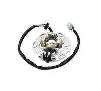 Magnéto Stator Bobine De Stator De Magnéto De Moto 4SS-85560-00 4SS-85560-01 4SS-85560-02 pour YZ125 1996 1997 1998 1999 2000-2004