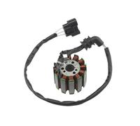 Magnéto Stator Bobine De Stator De Magnéto De Moto pour FZ1 pour F&Azer pour FZ1-N pour FZ1-NA pour YZF-R1 pour R1 pour FZ8 pour FZ8-N pour FZ8-NA pour FZ8-SA