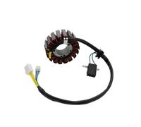 Magnéto Stator Bobine De Stator De Magnéto De Moto pour SH&adow 300 pour Center pour Downtow 200i Dink pour Street 300i ABS pour People GTI 200 300 31120-LEA7-E0B