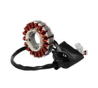 Magneto Stator Bobine De Stator Générateur Moto Comp Pour VP250 Pour X-City 250 Pour YP250RA Pour X-MAX 250 ABS Pour YP250R 1C0-H1410-10 1C0-H1410-20
