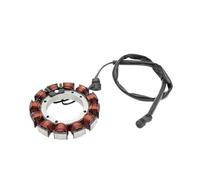 Magnéto Stator Bobine De Stator Magnéto pour Moto pour XL1200CX 1LM3 1200 pour Roadster pour XL883L 4CR2 pour Superlow
