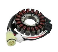 Magnéto Stator Bobine De Stator pour Moto pour Raptor 660 pour YFM660 ATV pour Bear pour Tracker 250 pour YFM250 pour Générateur 2001-2005