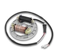 Magnéto Stator Bobine Pour Kawasaki KFX80 2003 2004 2005 2006 Plaque De Stator Magnéto D'allumage Bobine Moto 21003-S005 32101-40B00