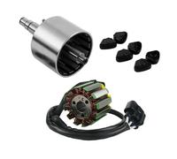 Magnéto Stator Bobine Pour YZF R1 2004 2005 2006 2007 2008 FZ1 2006 2007 2008 2009 2010 Moto Magnéto Générateur Rotor Assy Volant Stator Bobine(1 Set)