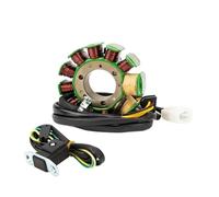 Magnéto Stator Bobine Stator Générateur Moto pour CMX250X pour CMX250 pour R&ebel pour CB250 pour Nighthawk pour Two Fifty pour CB250 31120-KEN-691