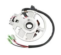 Magnéto Stator Coil 0450523 Motorcycle Coils Remplacement des Performances pour Polaris Scrambler 50 90 Sportsman 90