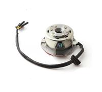 Magnéto stator Moto Kit De Rotor De Bobine De Stator Magnéto avec Lumière pour Moteur pour YX YINXIANG 150cc/160CC, Moto Hors Route, Moto Pro Automic