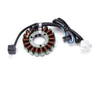 Magnéto Stator Pour TTR250 Pour TT-R250 Pour TT250R Pour RAID TT250 4GY-81410-01-00 Bobine Stator Générateur Moto Comp Allumage Bobine De Stator
