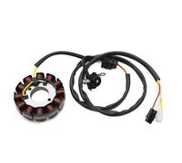Magnéto Stator Pour WR450F Pour WR450 Pièces OEM : 5TJ-81410-01 5TJ-81410-02 5TJ-81410-09 5TJ-81410-10 Bobine Stator Magnéto Générateur Moto Allumage Bobine De Stator