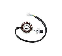 Magnéto Stator pour ZONGSHEN pour PR250 PR300 ZS172FMM-5 ZS175FMN Moteur Moto Générateur Magnéto Durable Ensemble Stator Bobine D'allumage Stators Allumage Moteurs(12 Pole Stator Coil)