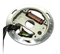 Magnéto Stator Rotor Ensemble AX100 générateur Stator Rotor Bobine d'allumage Stator AX-100 adapté for Moto à Deux Temps(Rotor and Coil)