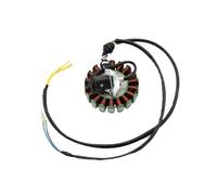 Magneto Stator Stator Magnétique À 18 Bobines Moteur 200W Pour CG250 Pour Moteur 250cc 200CC ATV QUAD BUGGY PiT Bike MotorcycleGo Karts