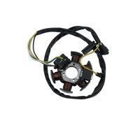 Magnéto Stator Stator Volant Magnétique Bobine De Charge Générateur Scooter Cyclomoteur pour AM6 50 pour DT50 pour TZR 50