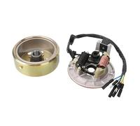 Magnéto Stator Universel 2 Bobines Moto pour 125cc, Pièces Rechange pour ATV Quad Dirt Pit Bike Rotor Plaque Magnétique Stator Durable Stators Allumage Moteurs