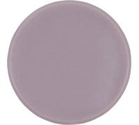 Lot de 10 aimants Basic Series - Gris - Diamètre : 24 mm - Force d'adhérence : 300 g (4 Feuilles A4) - Aimants pour Tableaux magnétiques et Tableaux Blancs - Revêtement spécial Anti-Rayures