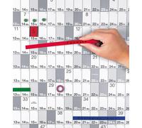 magnetoplan bande magnétique 1260505 1mx5mm vert