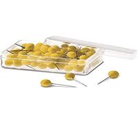 Magnetoplan Boite de 100 Punaises