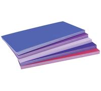 magnetoplan Dawn carte de modération trié par couleur, violet, rouge rectangulaire 200 mm x 100 mm 250 pc(s)